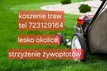 Koszenie traw  strzyżenie żywopłotów układanie mycie kostki brukowej