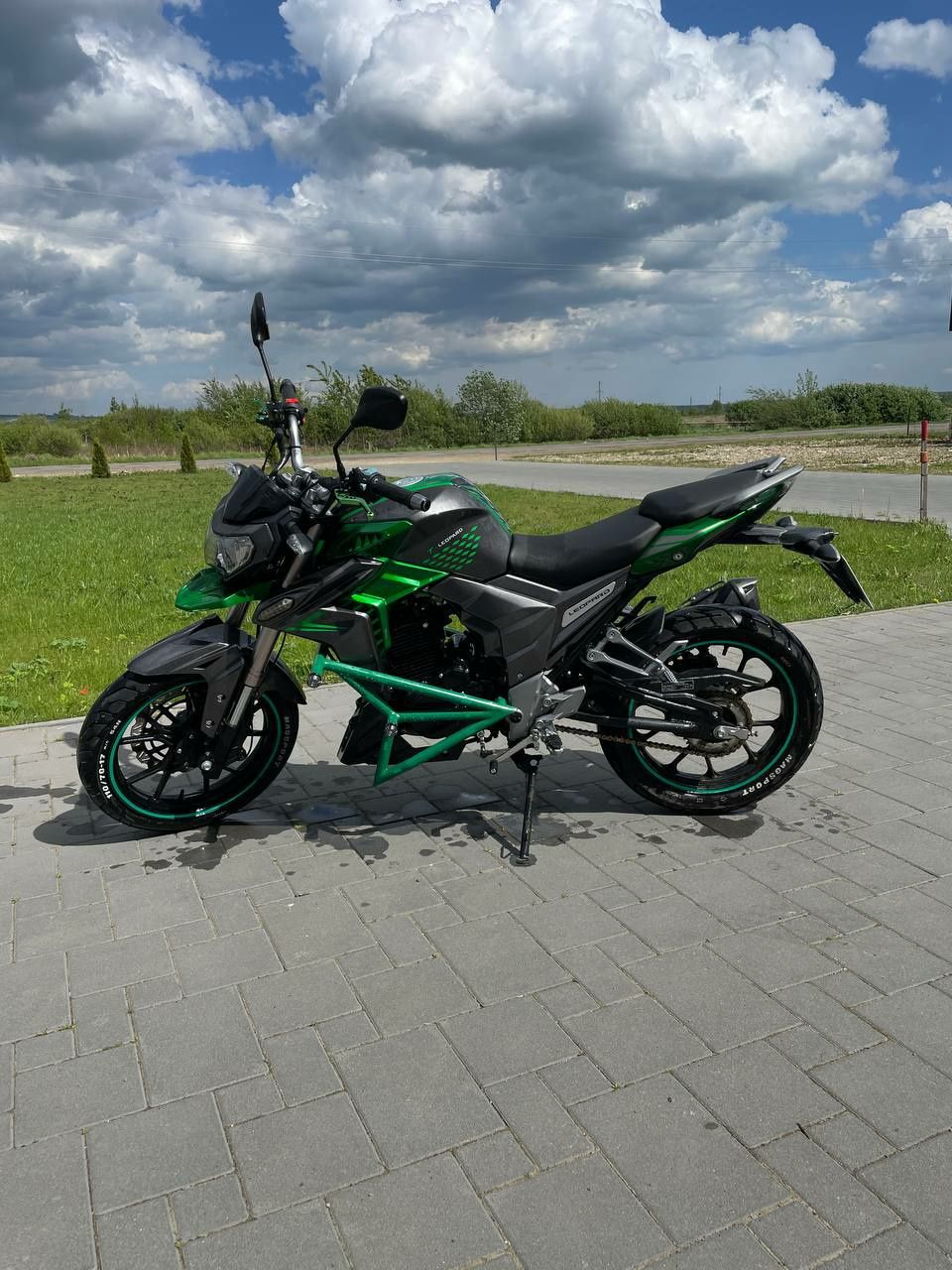 Senke leopard 250