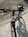Rower pegasus avanti