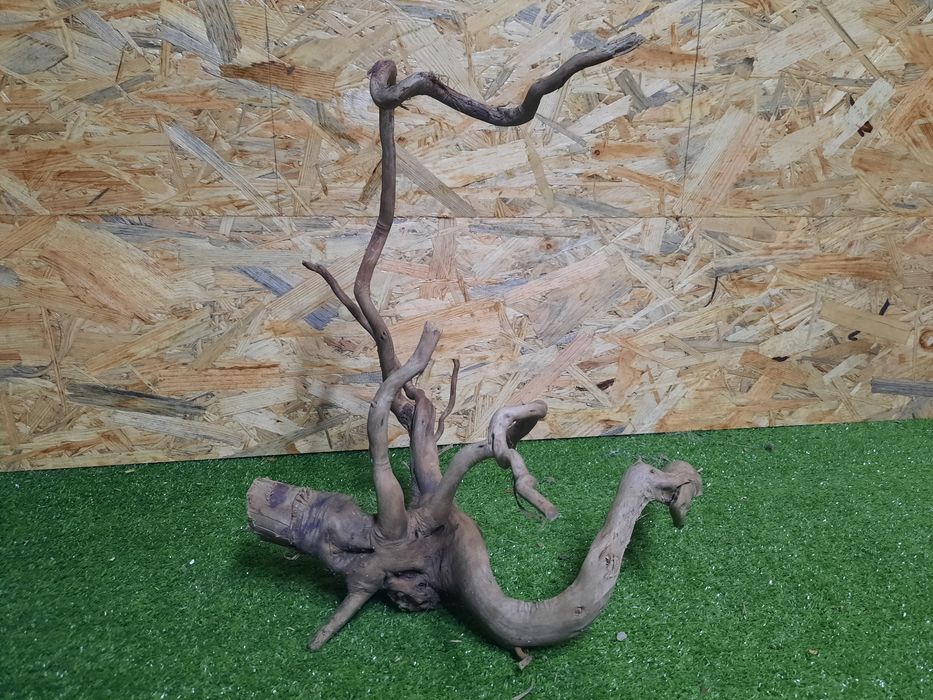 Korzeń do akwarium Red Moore Wood nr 887 o wymiarach 34/36/37