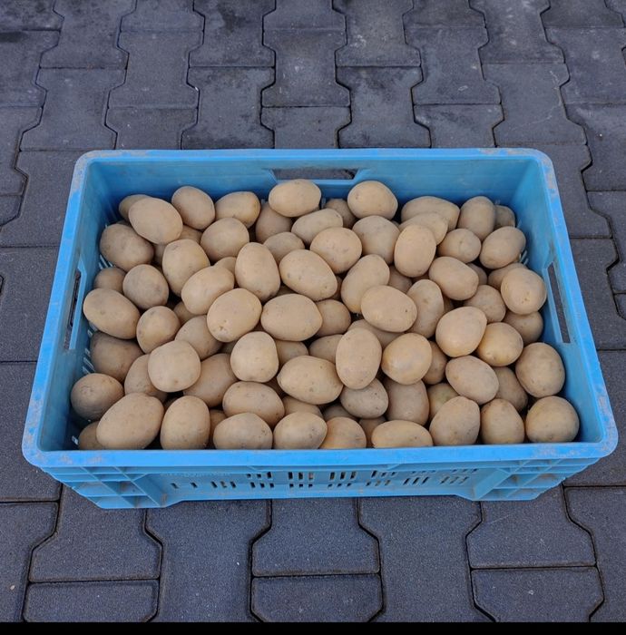 Warzywa i owoce z własnego gospodarstwa