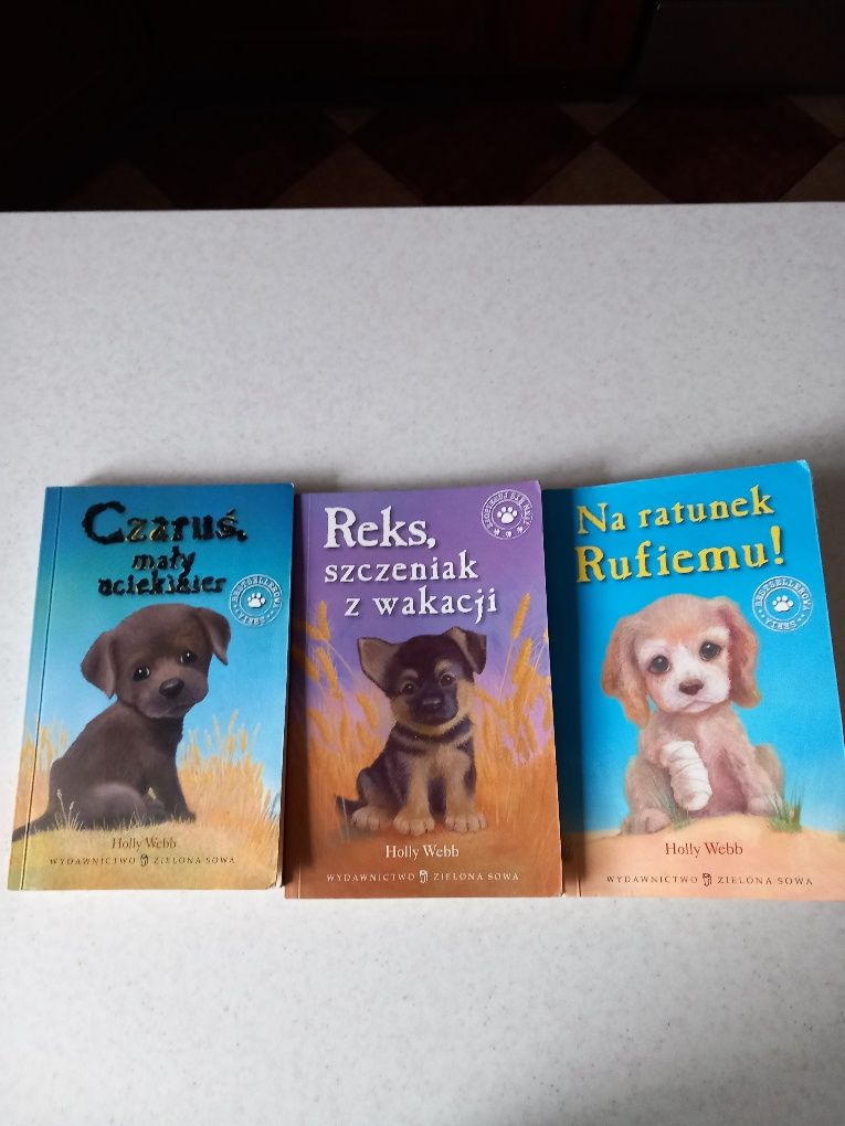 Reks, szczeniak z wakacji Czaruś, mały uciekinier Na ratunek Rufiemu