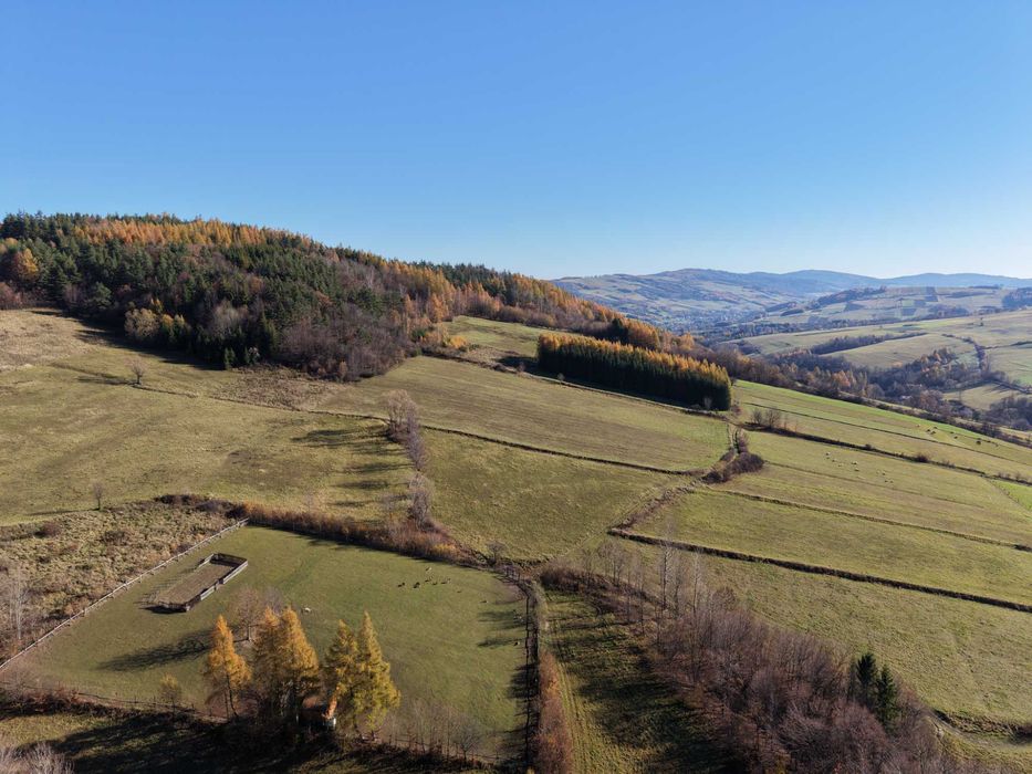 Brzezowa widokowa działka 92 ar