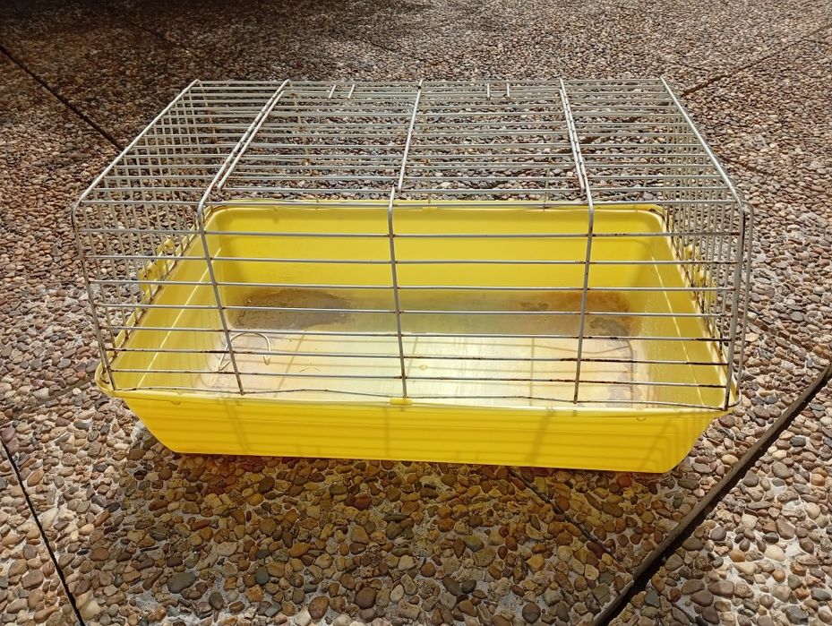 Gaiola para coelho anão