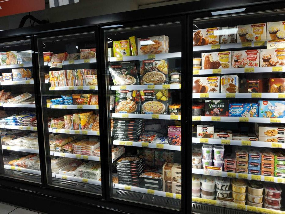 Arca Congelação Horizontal Profissional - 1200€