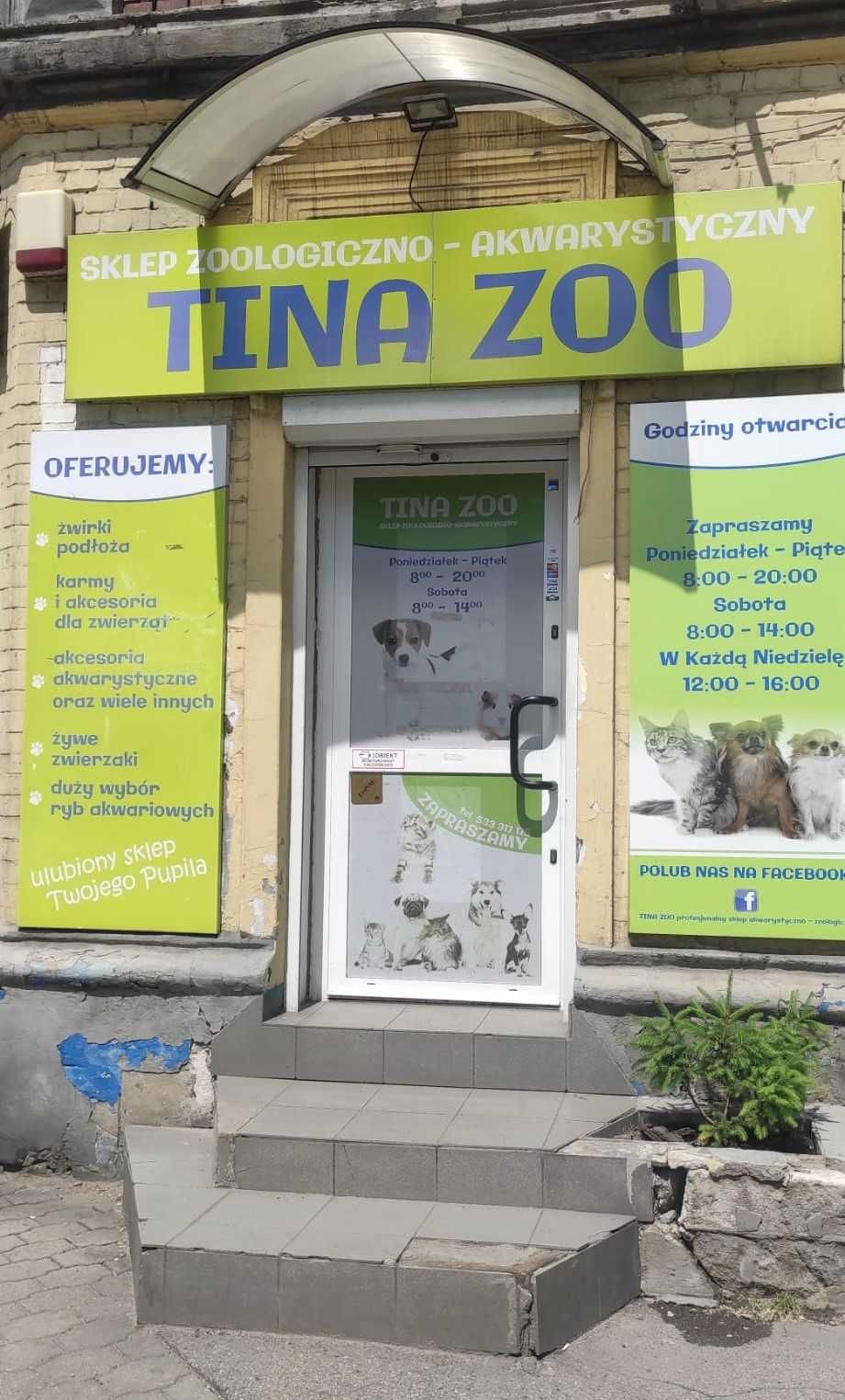 Neon Simulans / Neon zielony / Bystrzyk błękitny - Tina Zoo ZABRZE