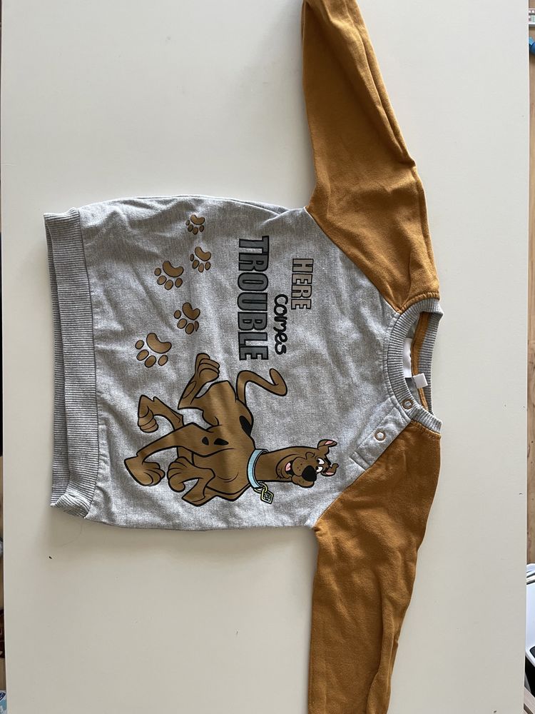 Bluza 86 Scooby Doo dla chłopca dresowa dres