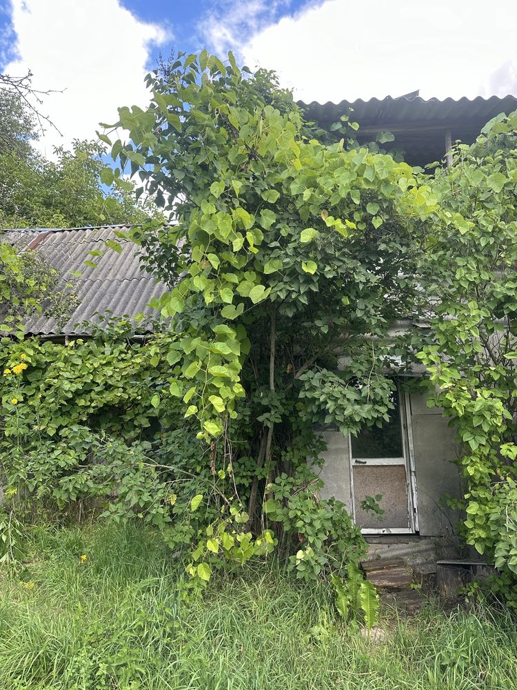 Продам земельну ділянку разом із будиночком у селі Рудка