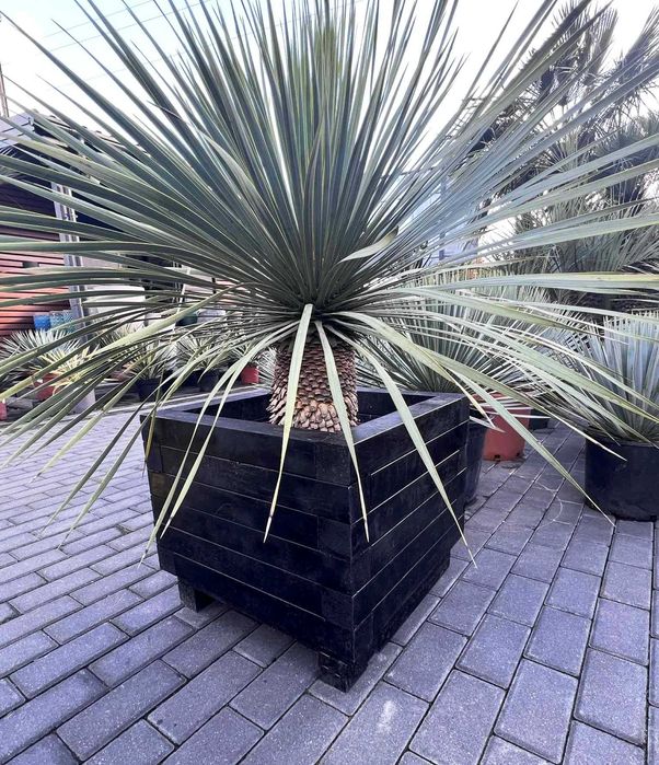 Duża Donica, mocna, odporna na wode i UV. SOLIDNA 25 lat gwarancji