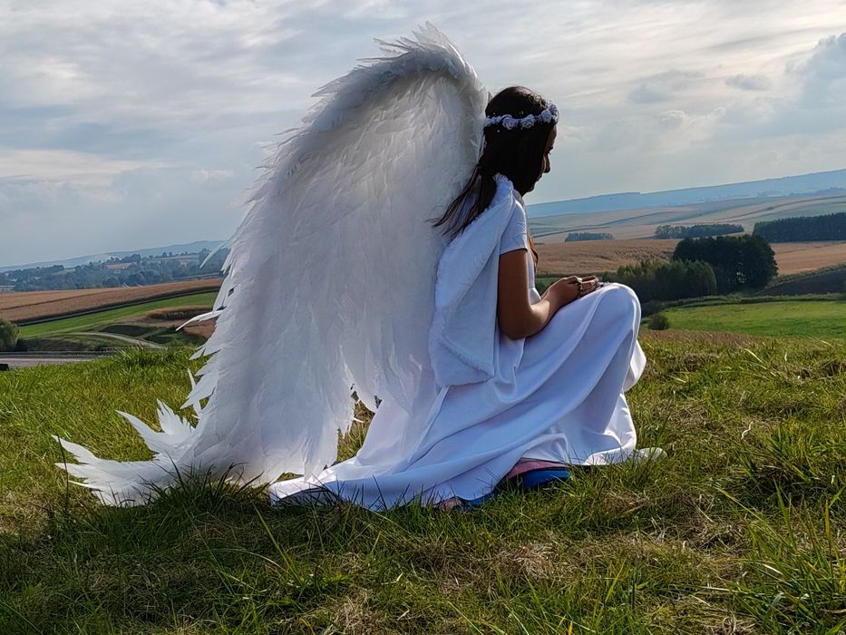 Piękne białe skrzydła