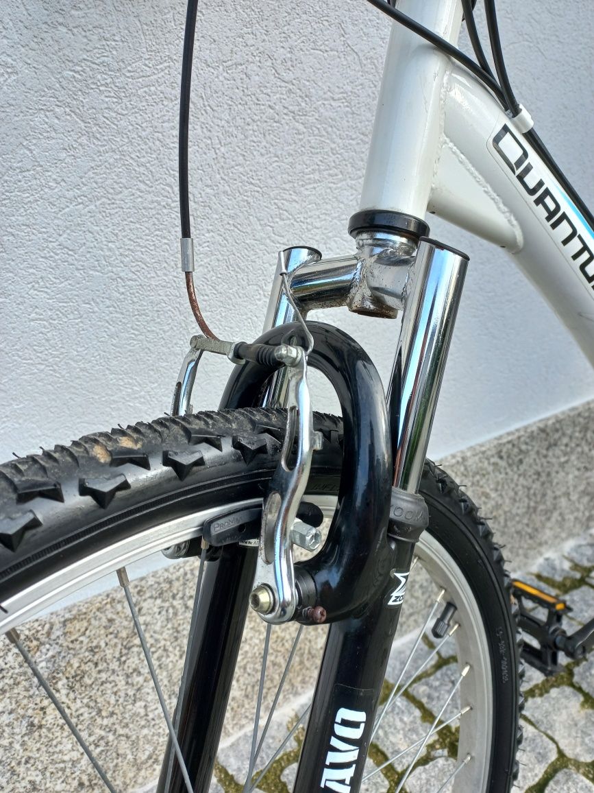 Bicicleta Quantum