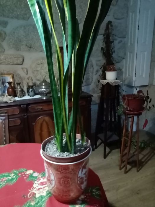 Vaso de porcelana com espada de s Jorge