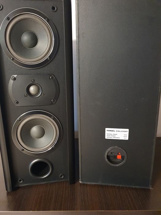 Kolumny Tonsil challenger 110w