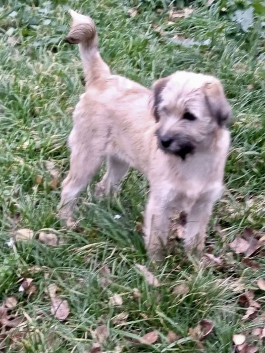 Красуня-підліток шукає родину