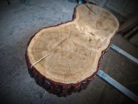Monolit dębowy na stolik kawowy 40x85