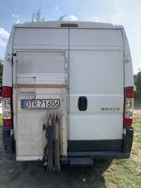 Winda dhollandia 500kg Boxer Ducato Jumper