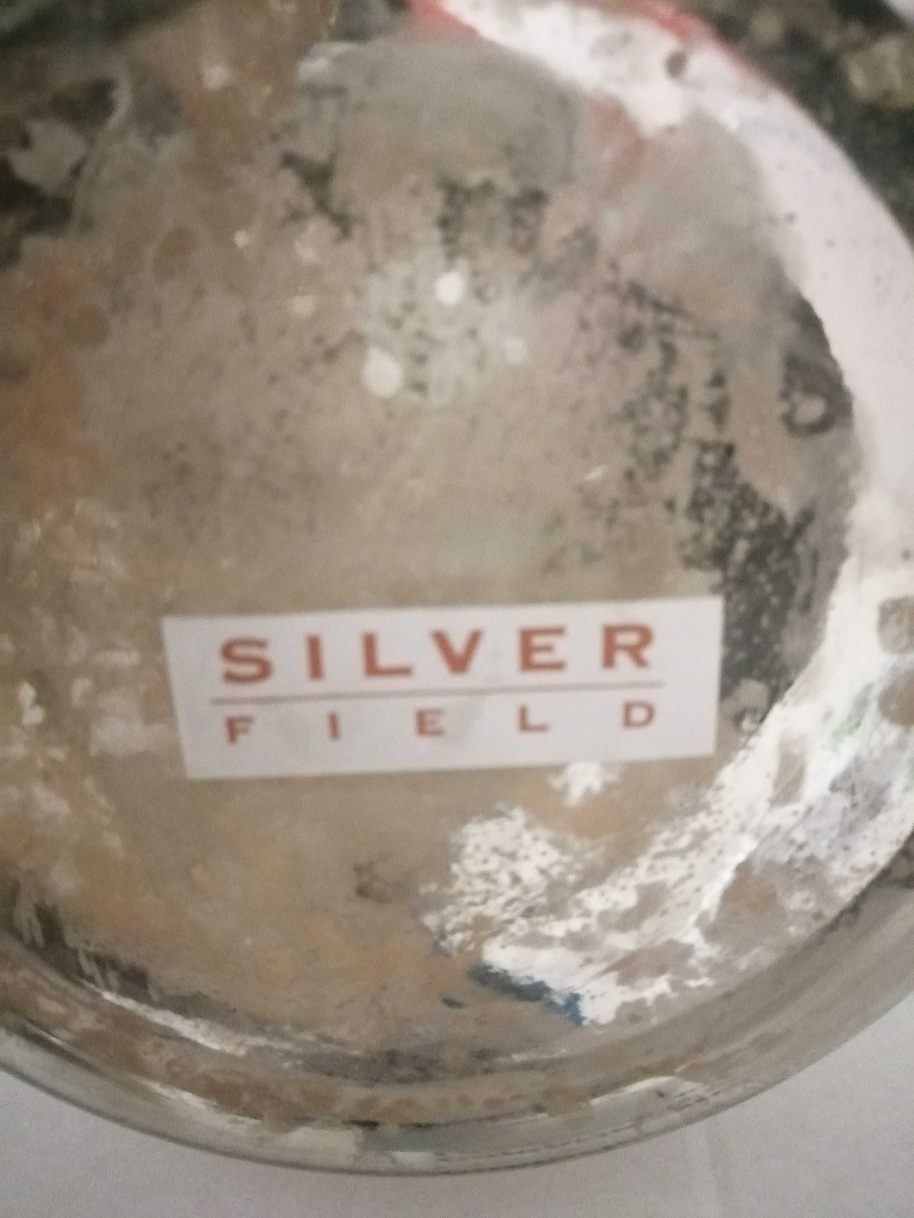 Jarro decorativo - Silver Field