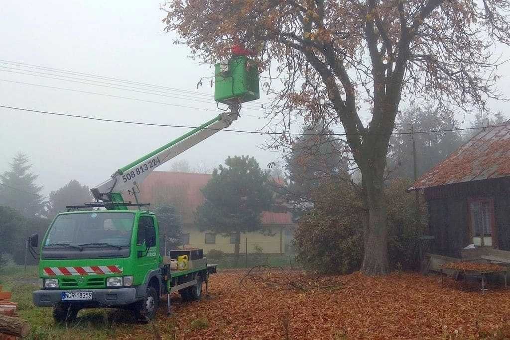 Podnośnik koszowy, zwyżka, wynajem i usługi, wycinka drzew.