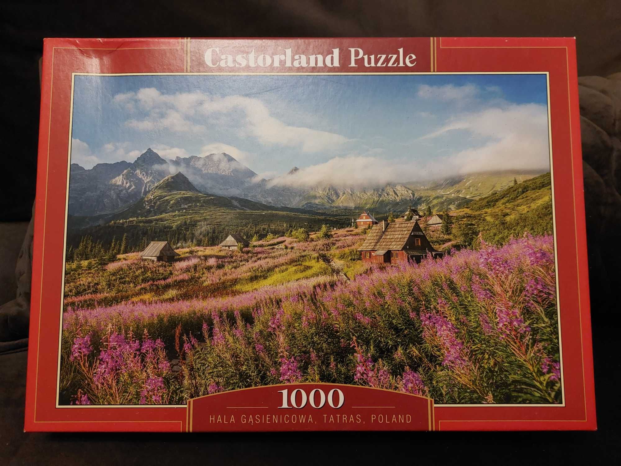 Puzzle 1000 castorland
