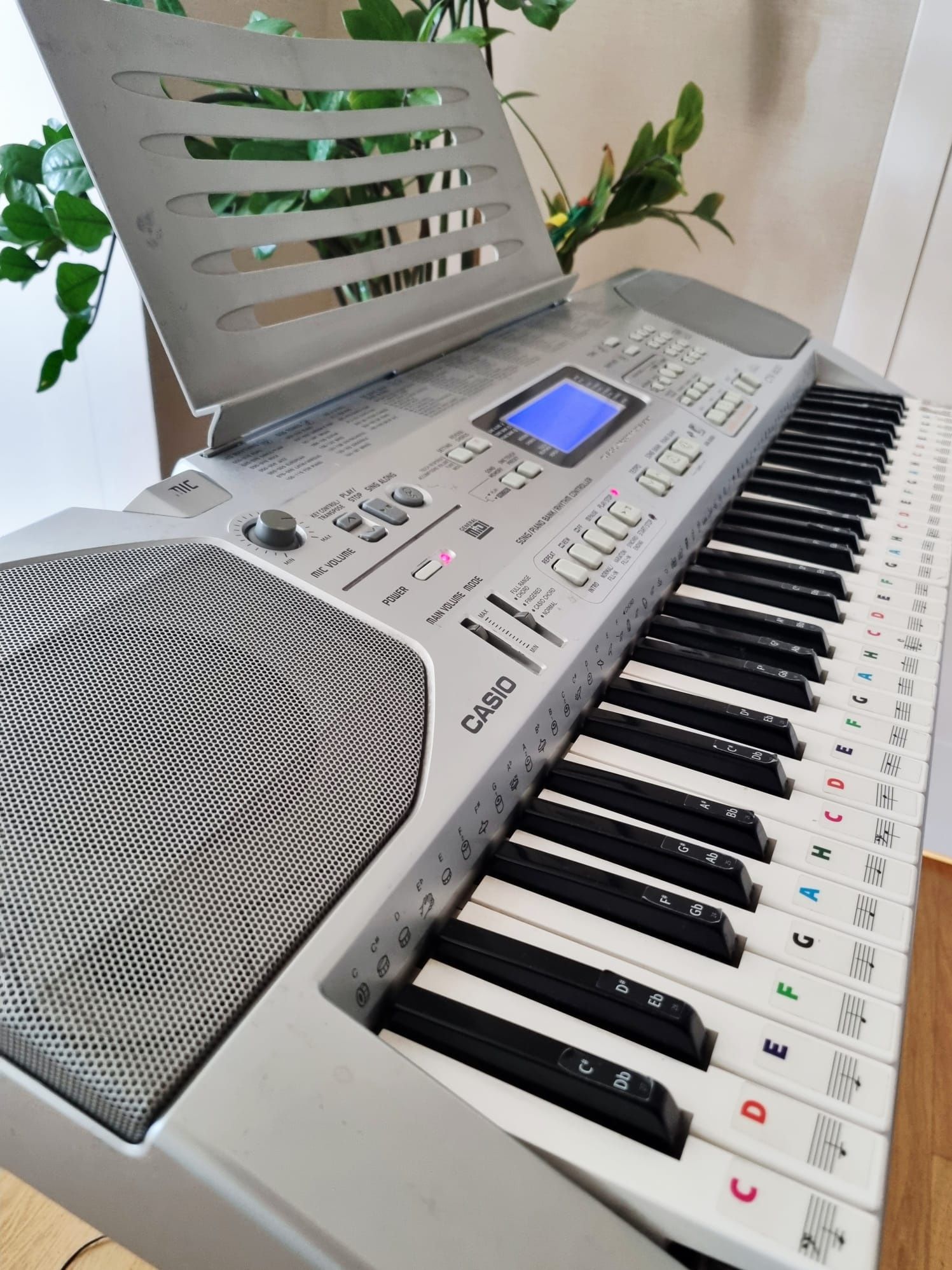 Keyboard CASIO CTK 800