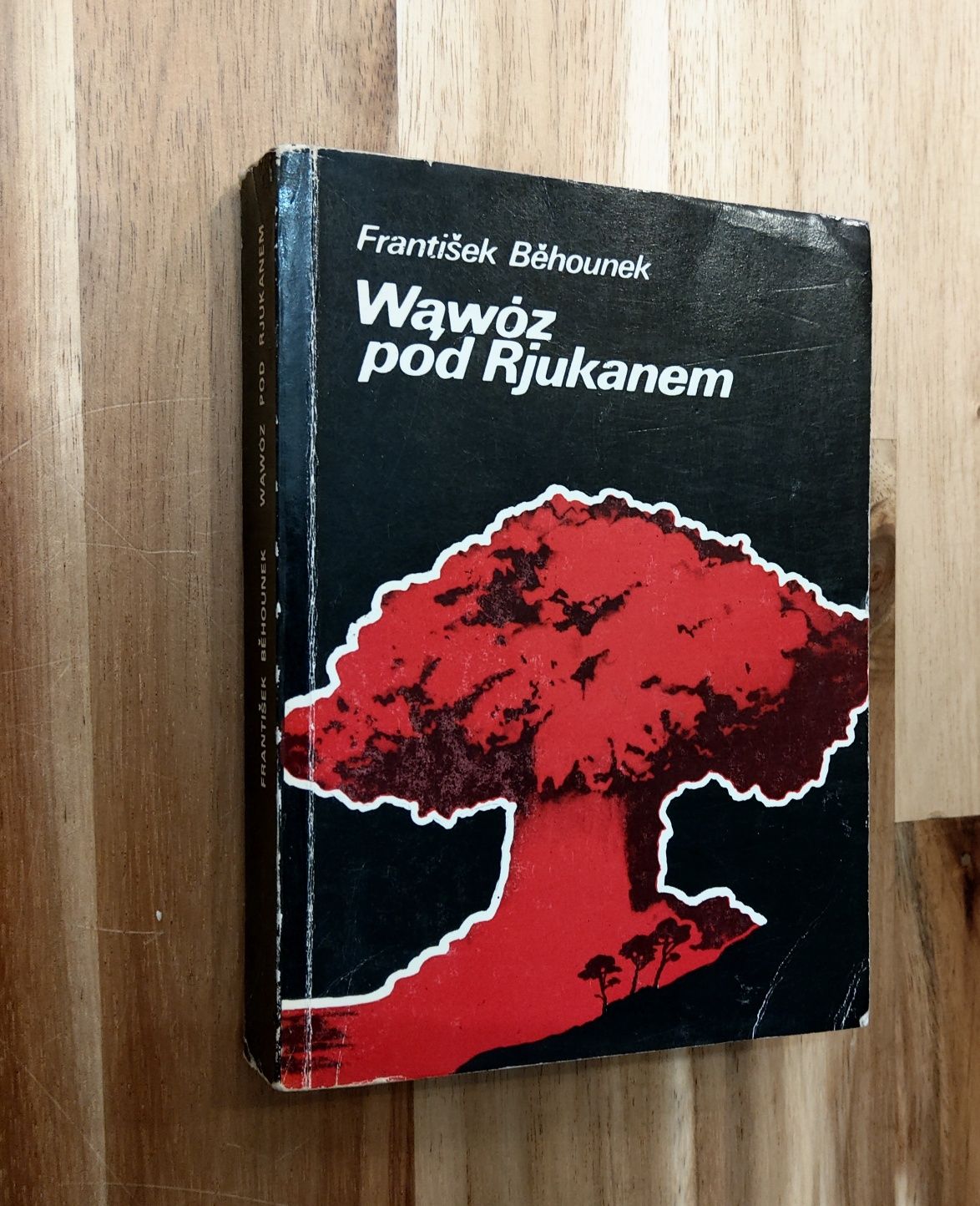 Wąwóz pod Rjukanem Frantisek Behounek