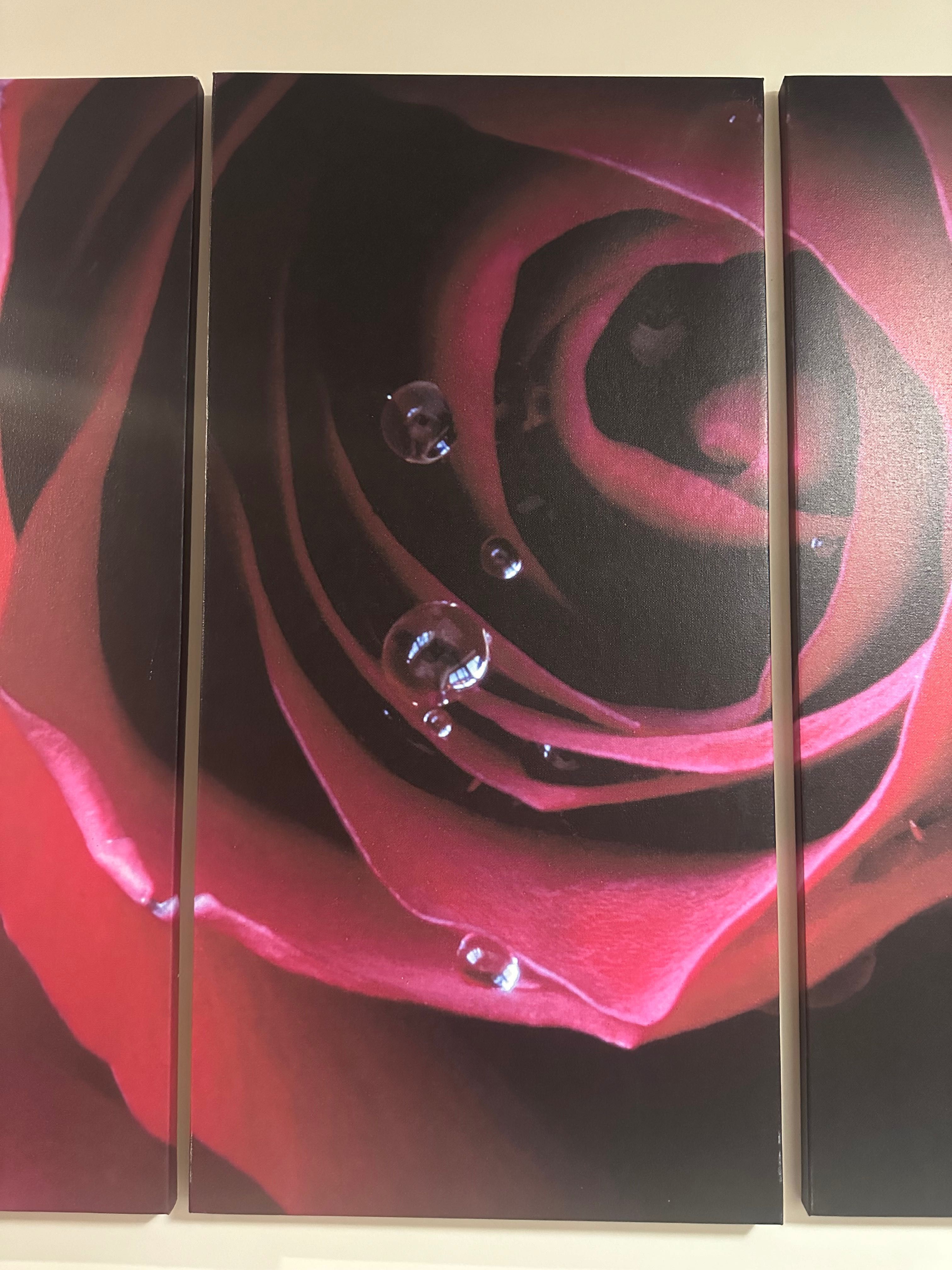 Obraz 3 częściowy róża