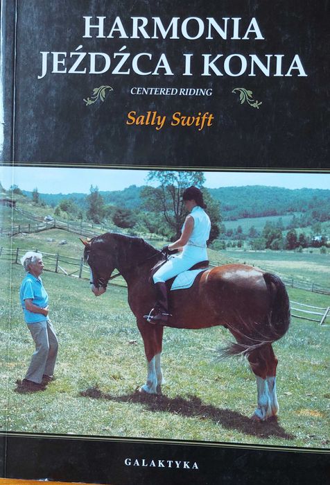 Harmonia jeźdźca i konia