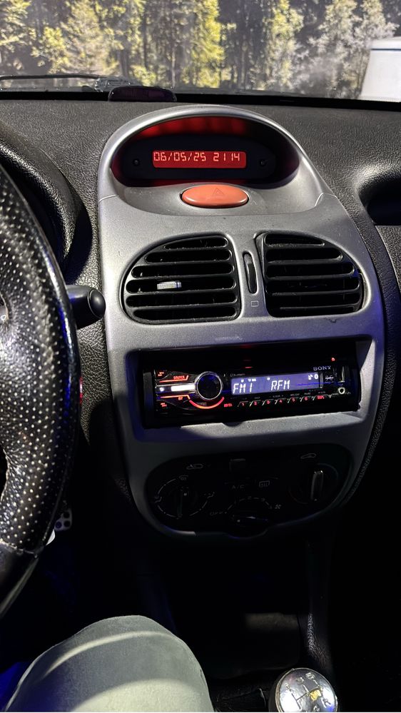 Peugeot 206 Quiksilver