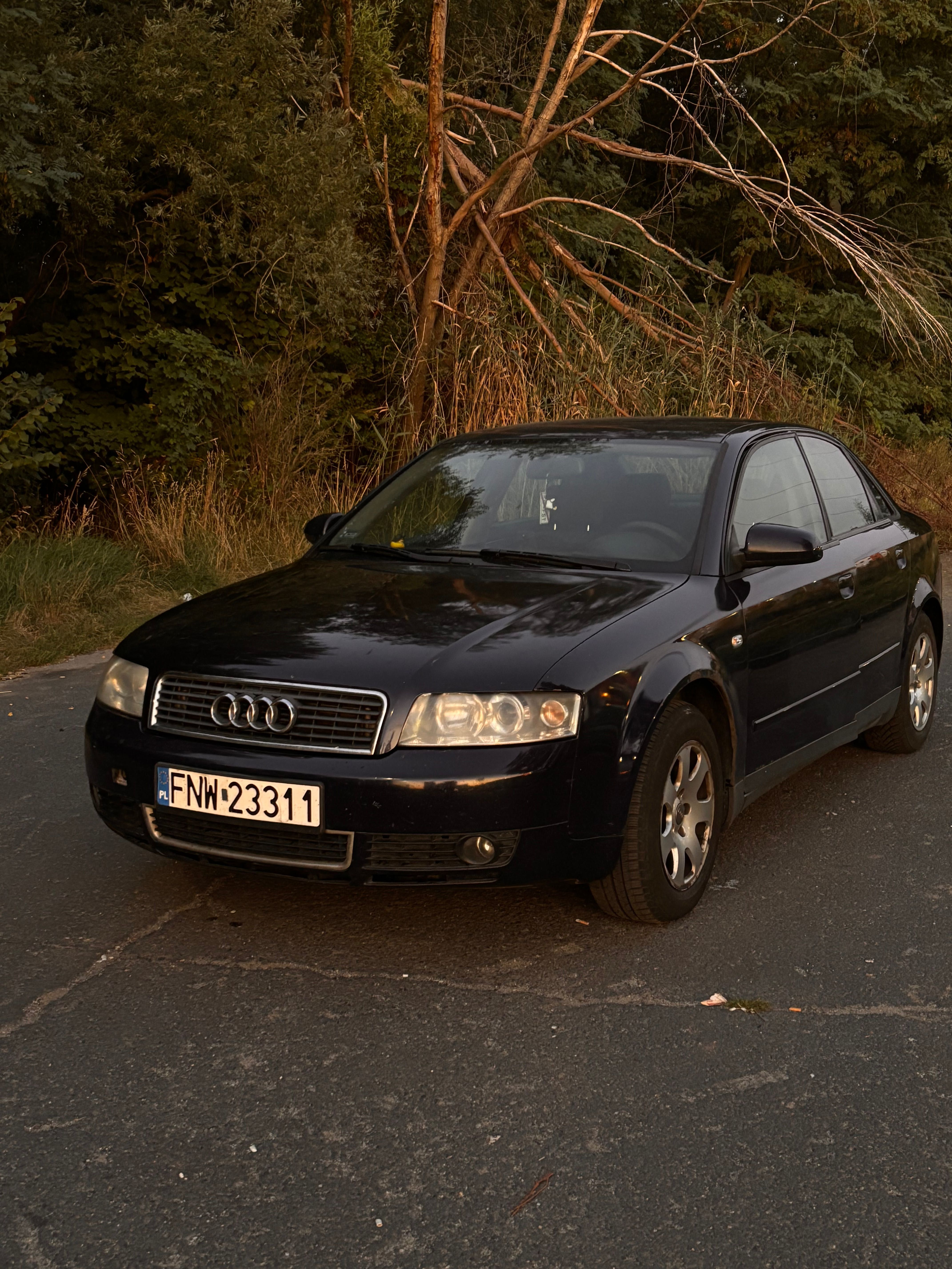 Audi a4b6 1.9 tdi