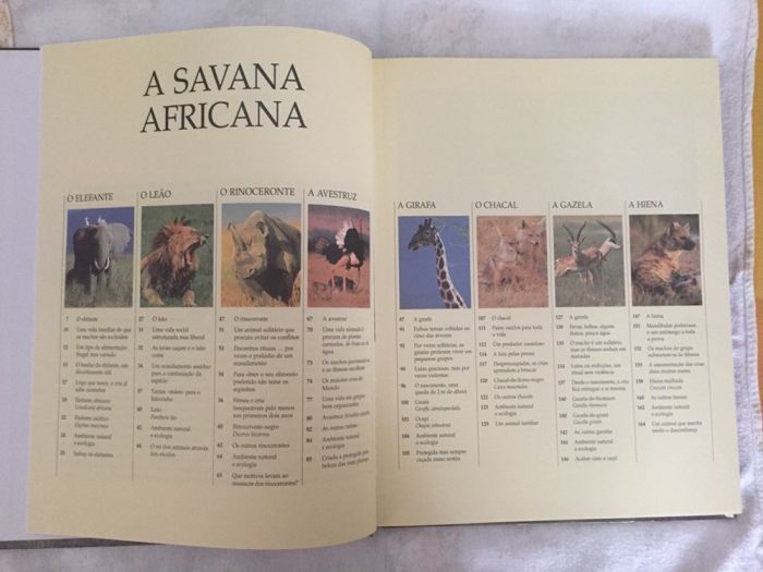 Vida selvagem - animais da savana