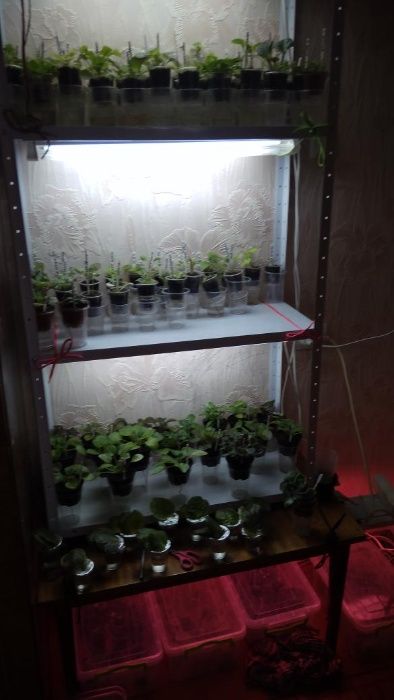 Стелаж розборний металевий під квіти для дома, на балкон в теплицю