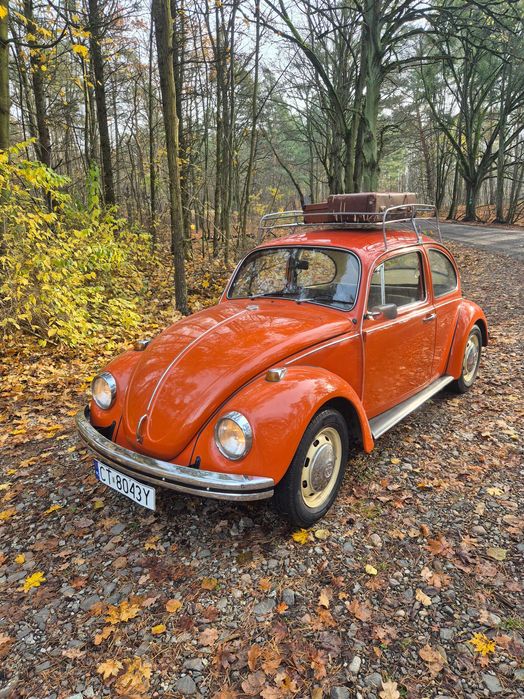 Volkswagen Garbus 1500