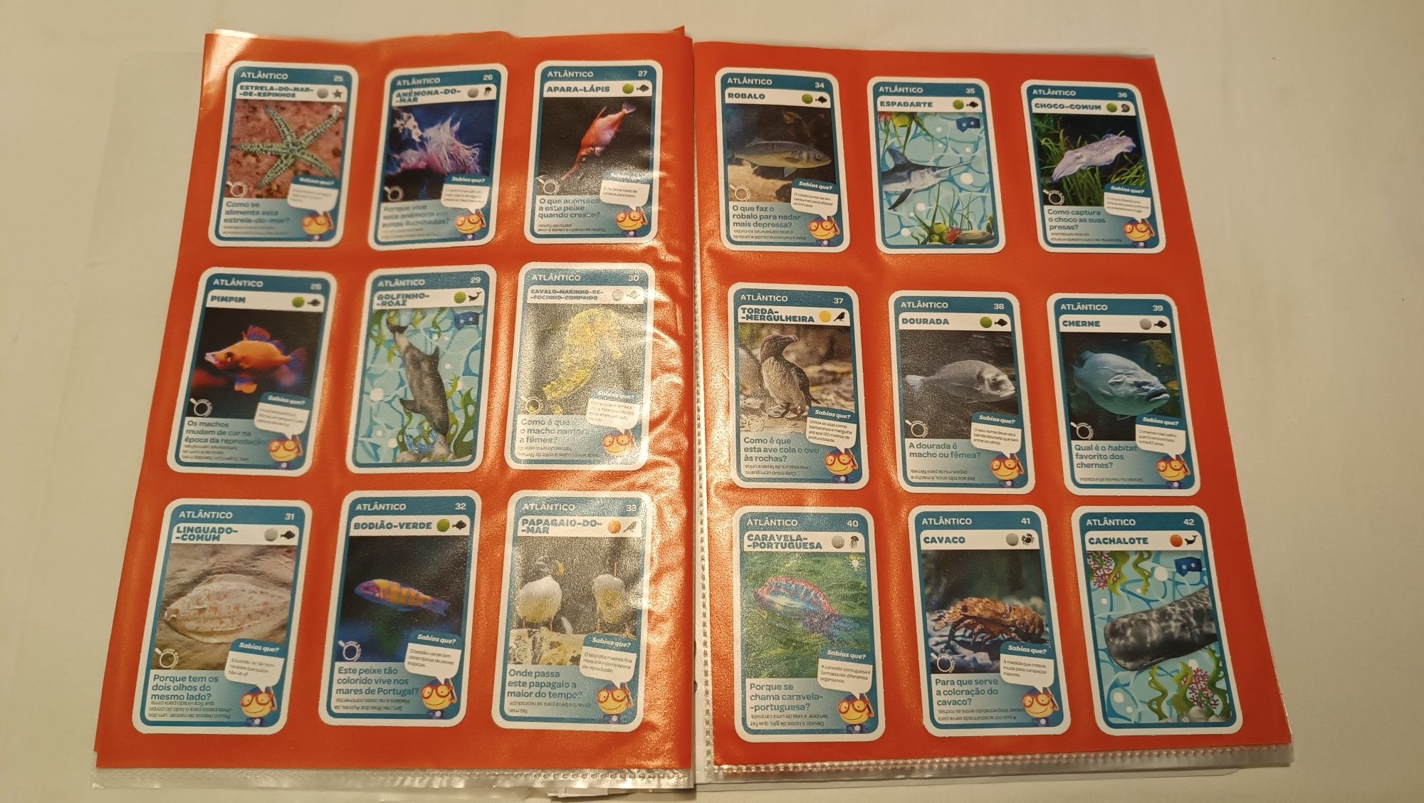 120 cartas. Pingo Doce. Oceanos