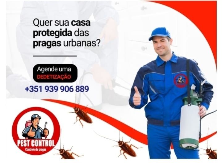 Desentupimento  / Controlo de pragas