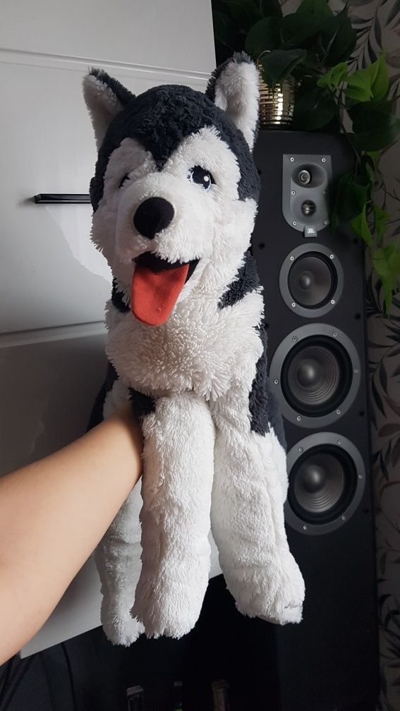 Pluszak pies husky siberian DUŻY LIVLIG IKEA