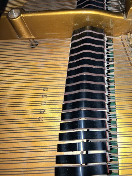 Piano 1/4 cauda Bosendorfer