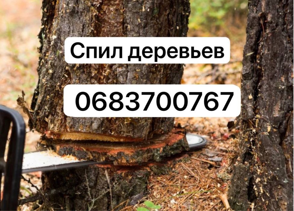 Спил деревьев,кронирование,обрезка,уборка,вывоз