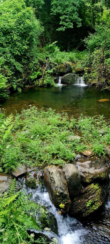 2 casas em pedra, xisto e lousa em ambiente natural