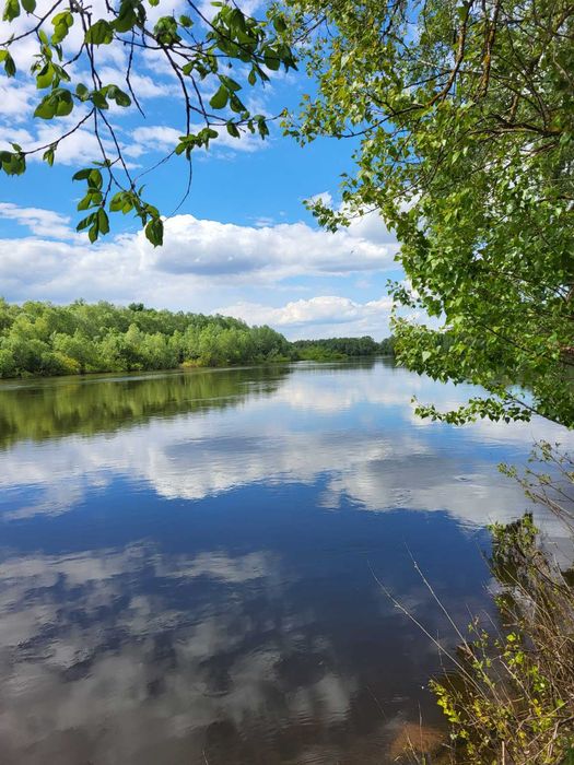 Продам будинок в селі Надинівка.