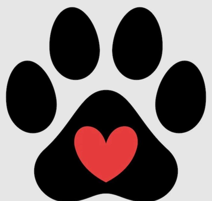 Petsitting Animals Care