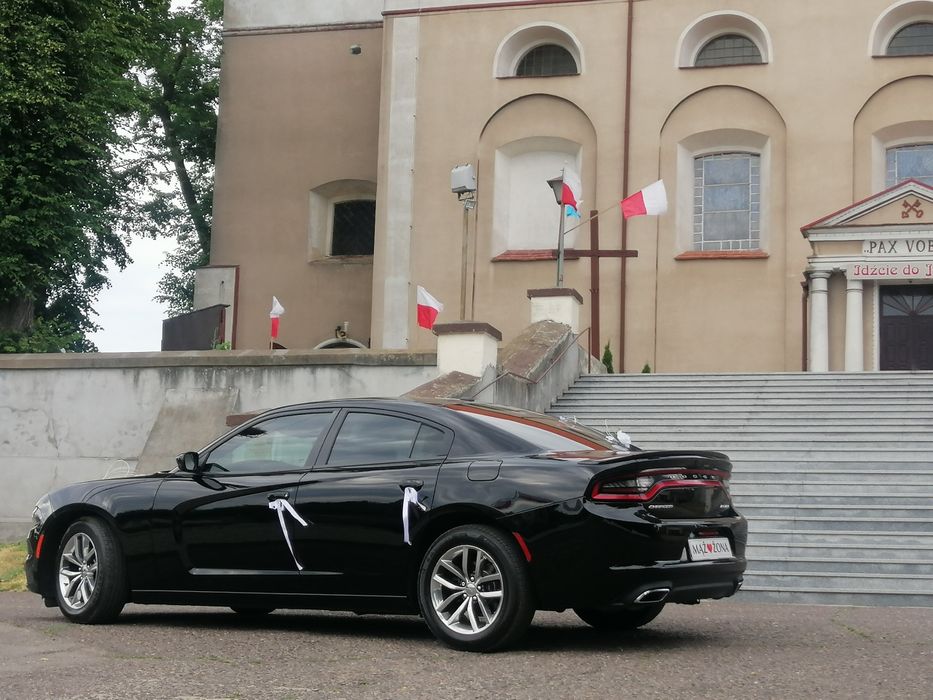 DODGE CHARGER auto do ślubu wesela