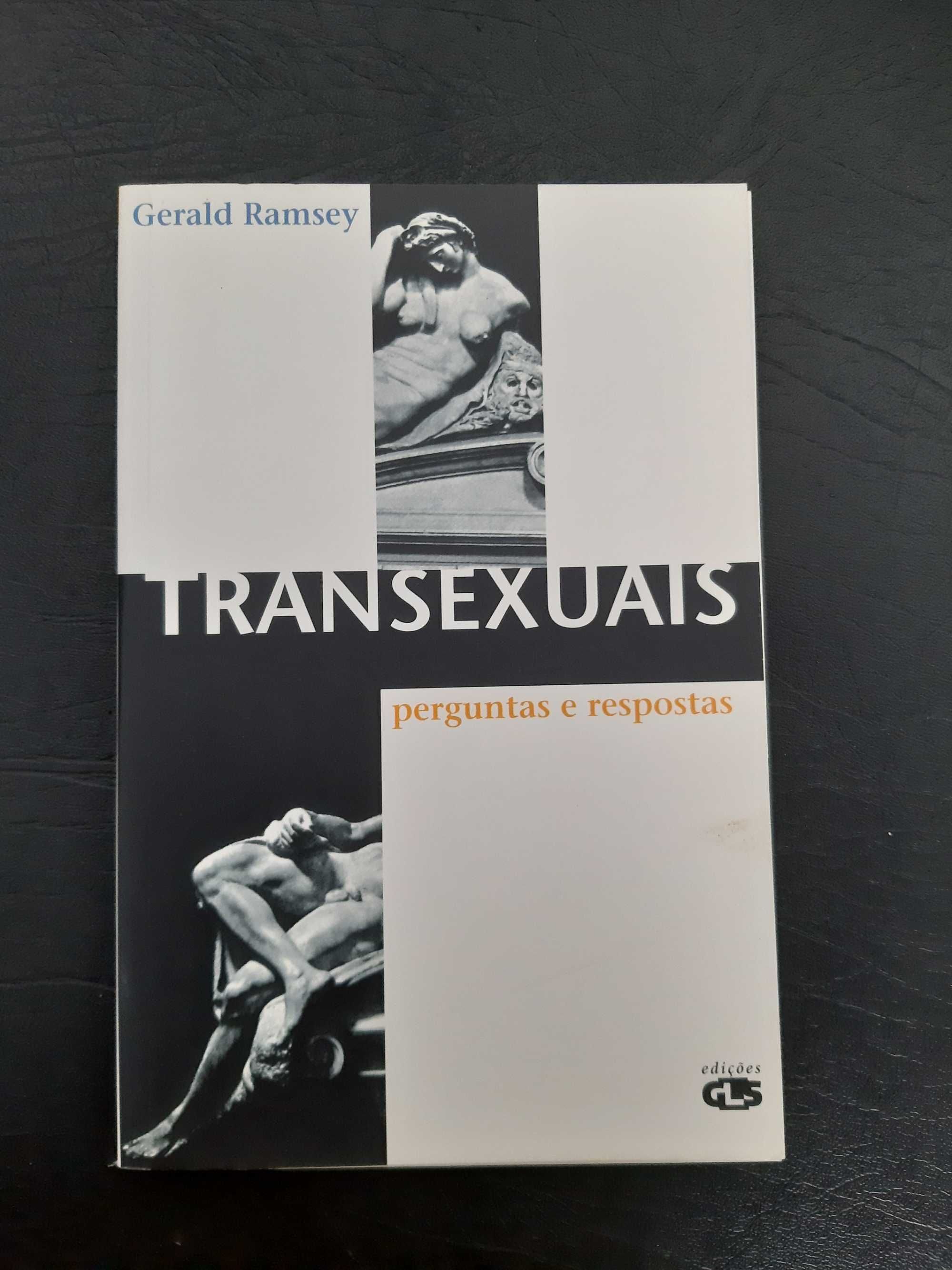 Livro Transexuais - perguntas e respostas