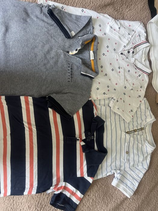 Koszulki polo cocodrillo