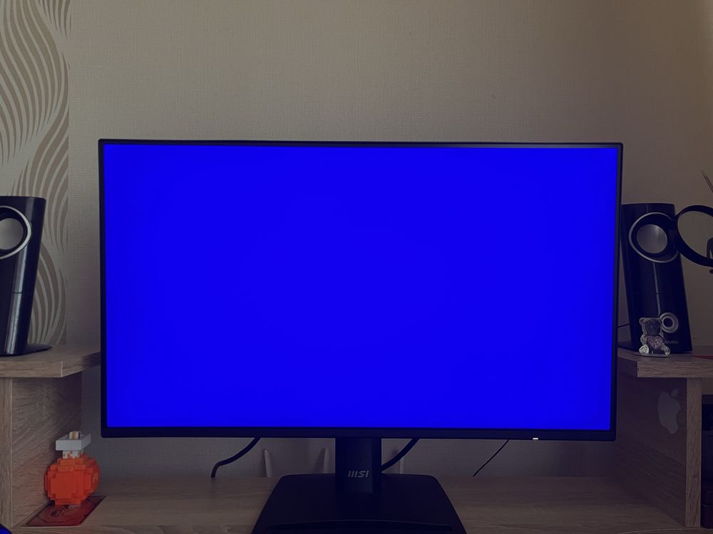 MSI 120 HZ PRO MP252 E2