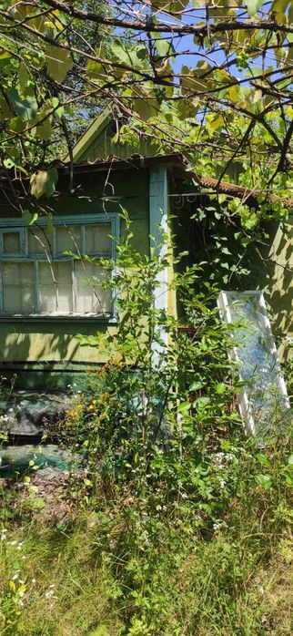 (3) Продам дачний будинок в Сальнику 0925