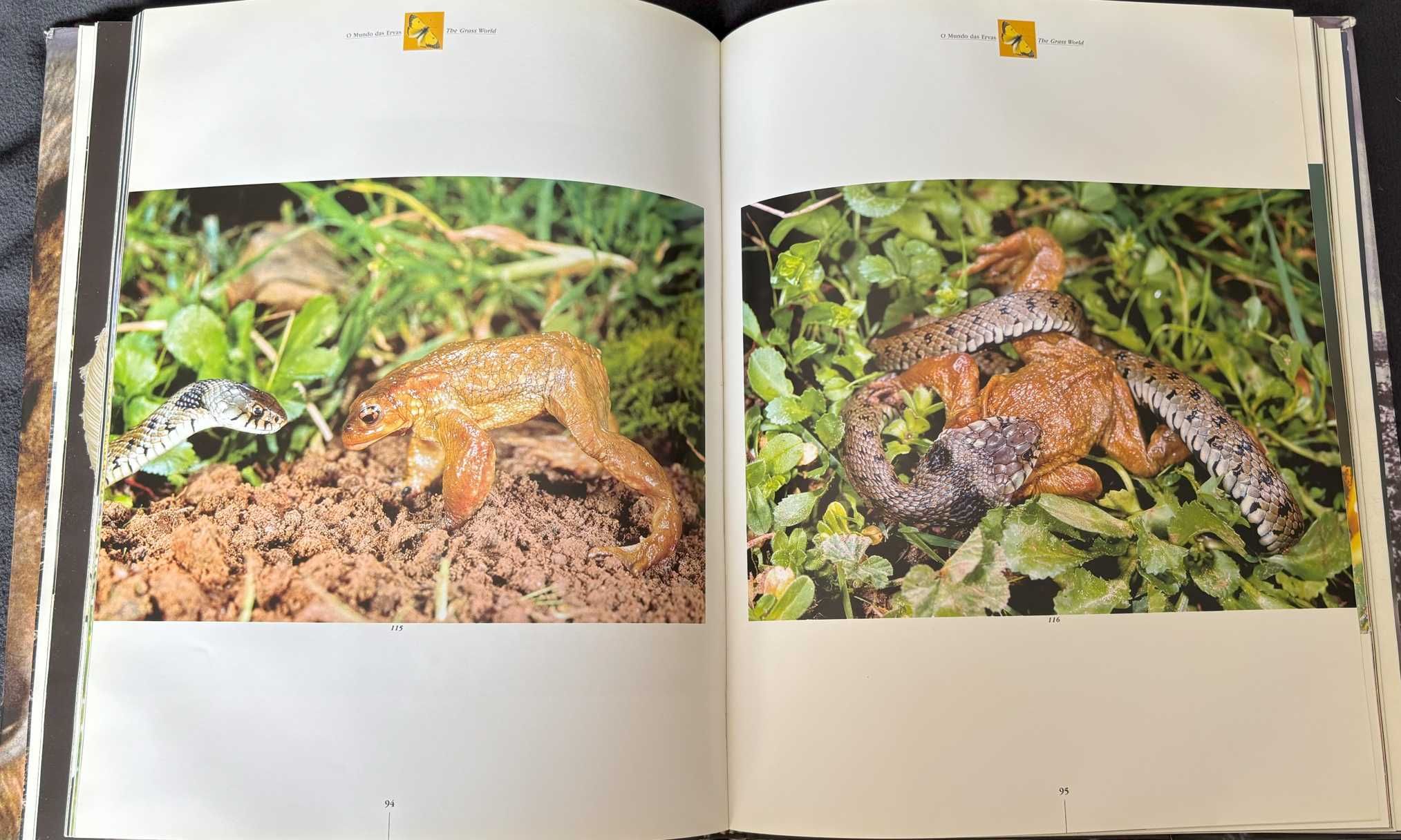 "Vida Selvagem de Portugal" / "Portugal Wildlife"