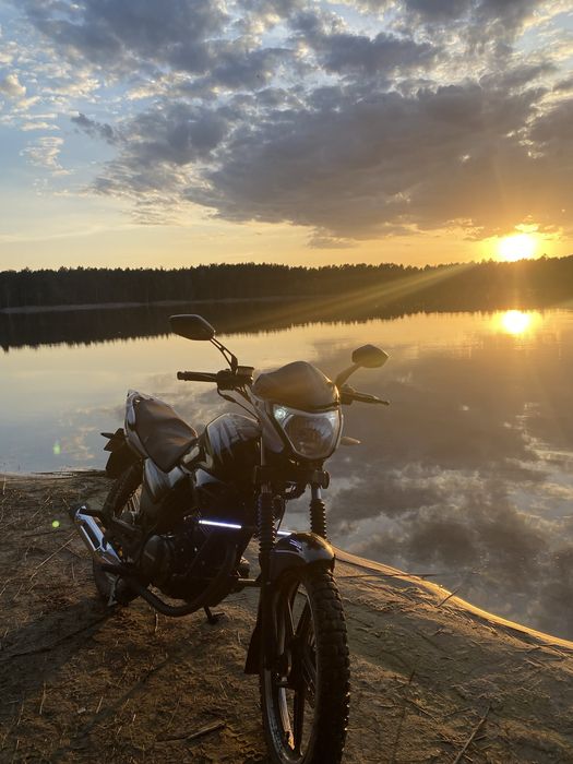 Продам мустанга срочно!