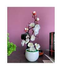 Цветок в горшке комнатный растение бонсай Квітка