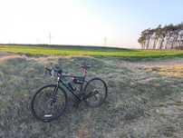 Gravel Marin Gestalt 2