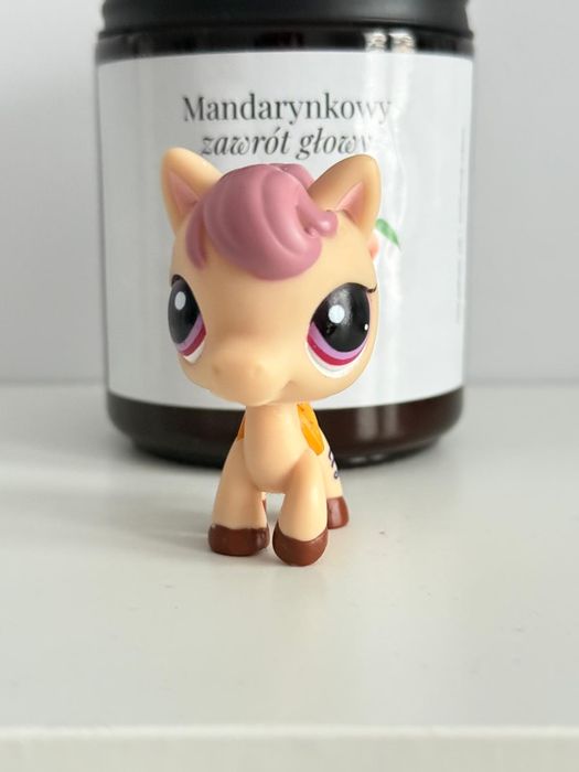 Lps konik littlest pet shop